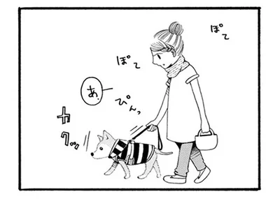 リハビリに励む18歳の柴犬。一歩ずつ歩く様子から飼い主は目が離せない
