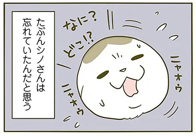 なに？どこ！？