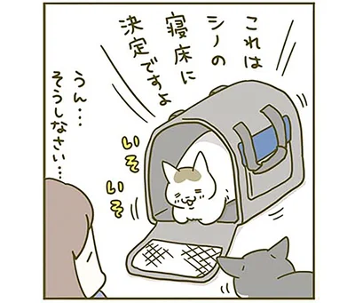これはシノの寝床に決定ですよ
