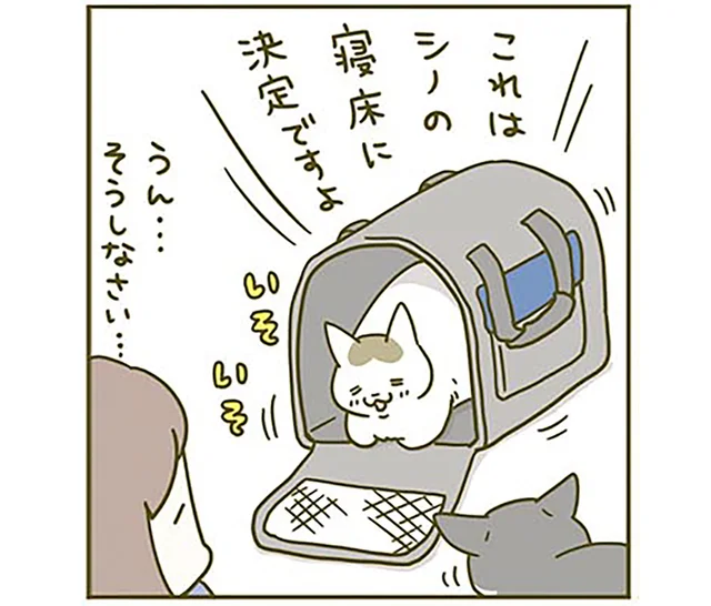 新しいキャリーに喜ぶ猫、謝る飼い主。病院に連れて行かれる運命の日は明日です／うちの猫がまた変なことしてる。3（4）