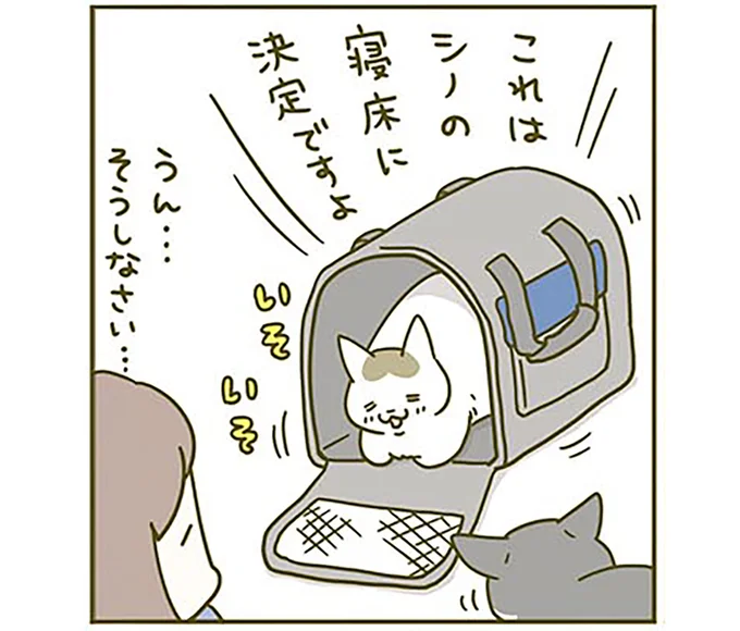 これはシノの寝床に決定ですよ