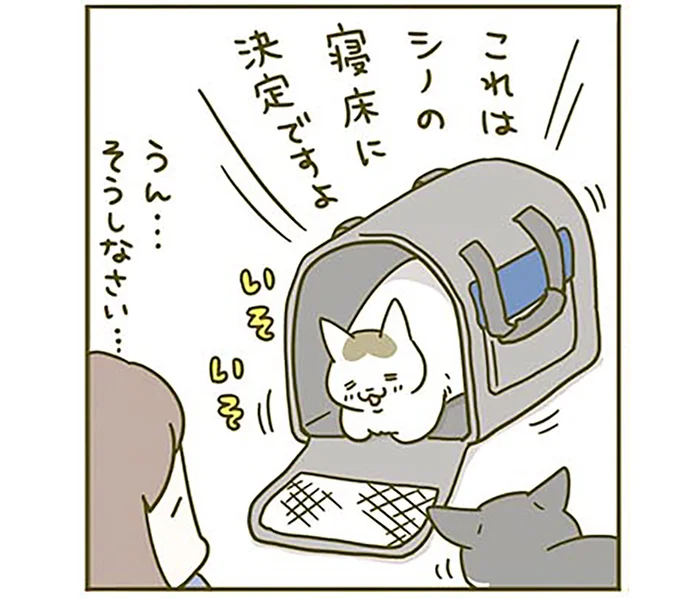 新しいキャリーに喜ぶ猫、謝る飼い主。病院に連れて行かれる運命の日は明日です／うちの猫がまた変なことしてる。3（4）