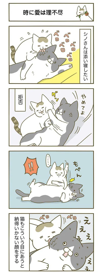 時に愛は理不尽