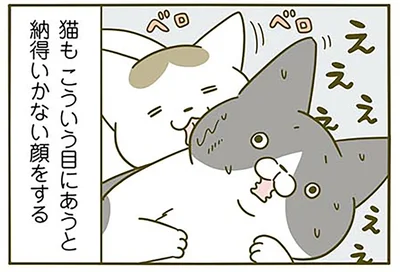 えええぇぇぇぇ…