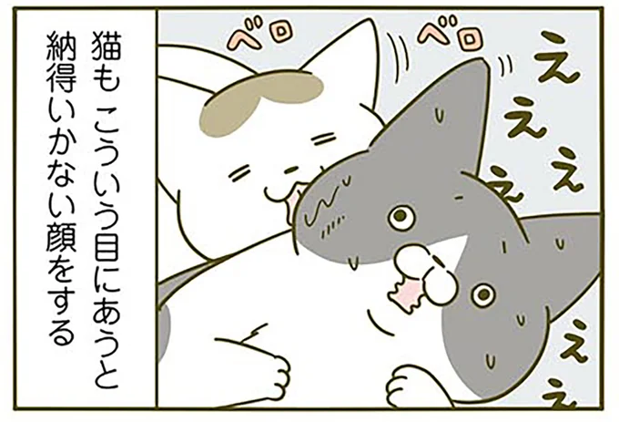 えええぇぇぇぇ…