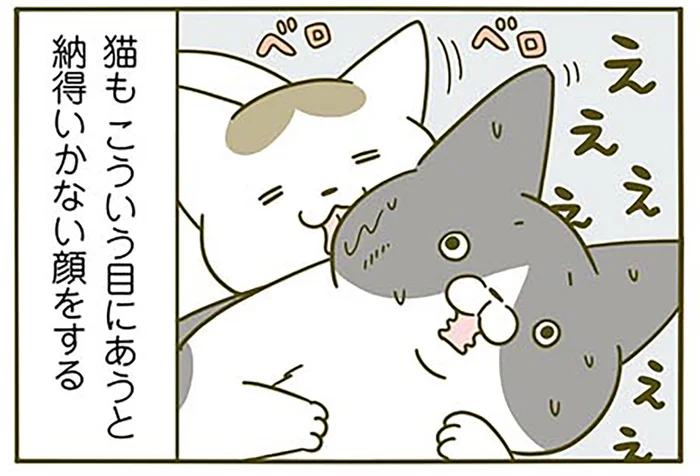 添い寝を拒否したら叩かれた!? あまりの理不尽に納得がいかない猫の話／うちの猫がまた変なことしてる。3（5）