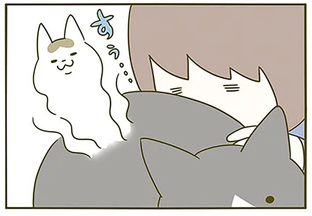 日光浴好きな猫の香りがたまらない！ けれど、油断しているととんでもない罠が？／うちの猫がまた変なことしてる。3（6）