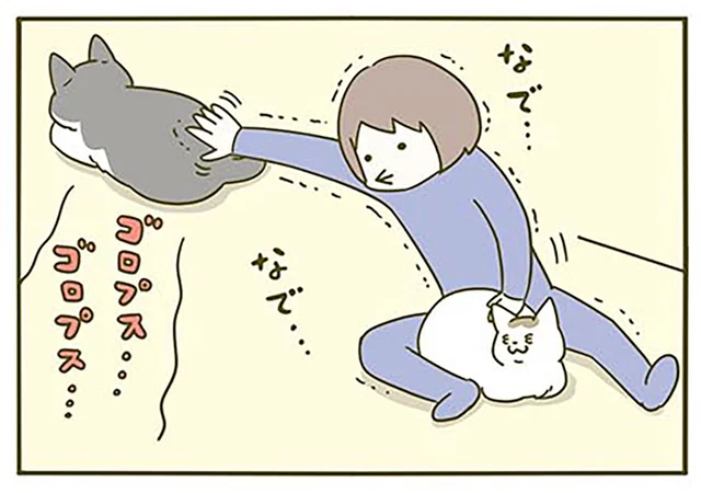手を伸ばせば届くかも！ 遠く離れた猫を撫でたくて諦められない飼い主／うちの猫がまた変なことしてる。3（7）