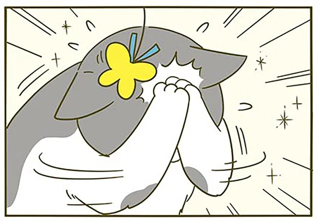 珍しくやる気のある猫、真面目にじゃれようとしているのになんだかトロいのはなぜ？／うちの猫がまた変なことしてる。3（8）