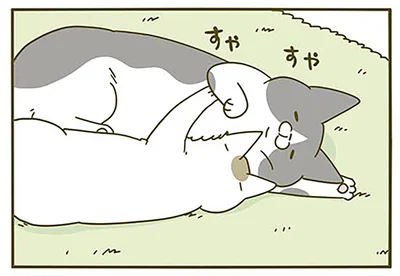 すやすや