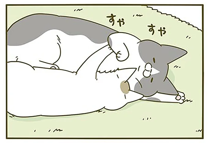 すやすや