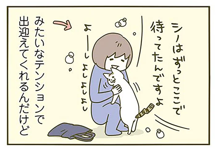 「ずっとここで待ってたんですよ」という顔で出迎えてくれるけど多分寝起きな猫／うちの猫がまた変なことしてる。3（11）