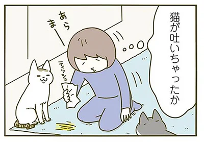 猫が吐いちゃったか