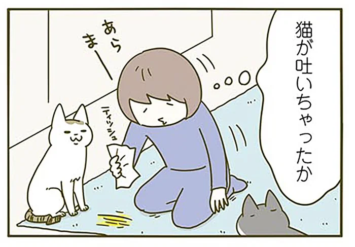 買ったばかりのカーペットに猫が吐いた!? と思って良く見てみたら「あれっ違うな」／うちの猫がまた変なことしてる。3（12）