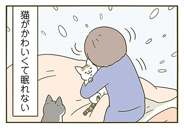 就寝前に甘えてきて眠れない！ 可愛すぎる猫との同居の弊害／うちの猫がまた変なことしてる。3（13）