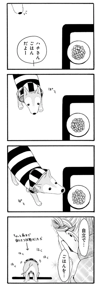 ごはんだよー