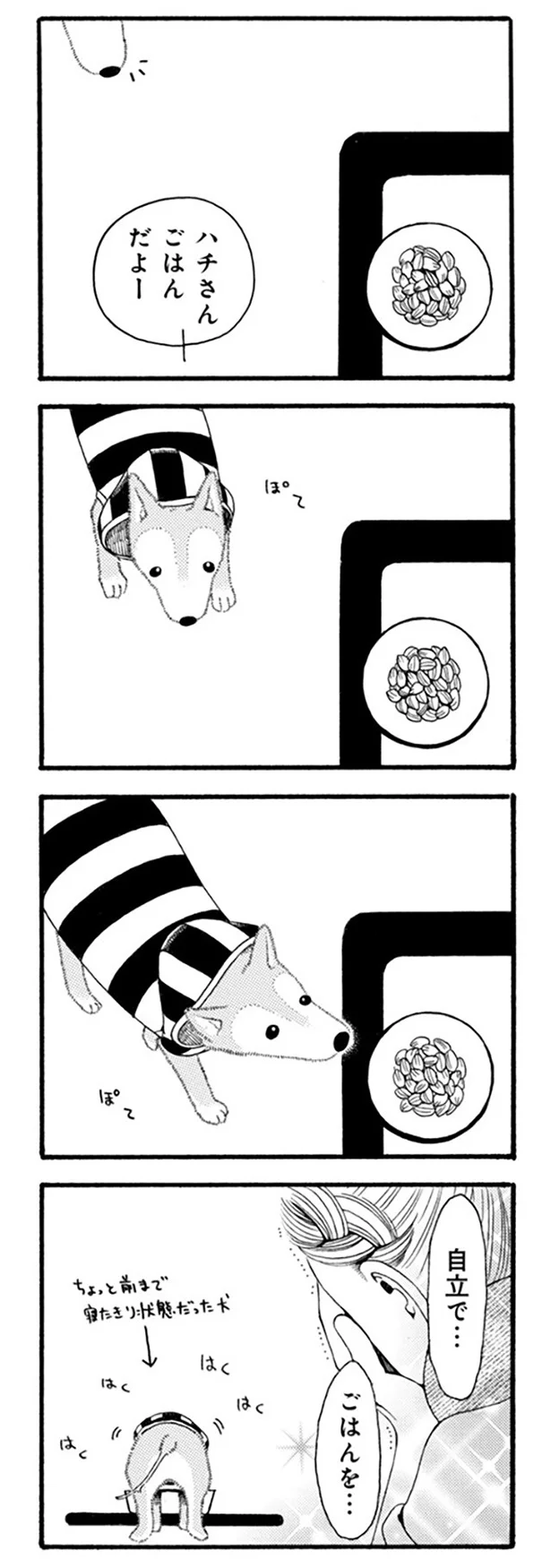 ごはんだよー