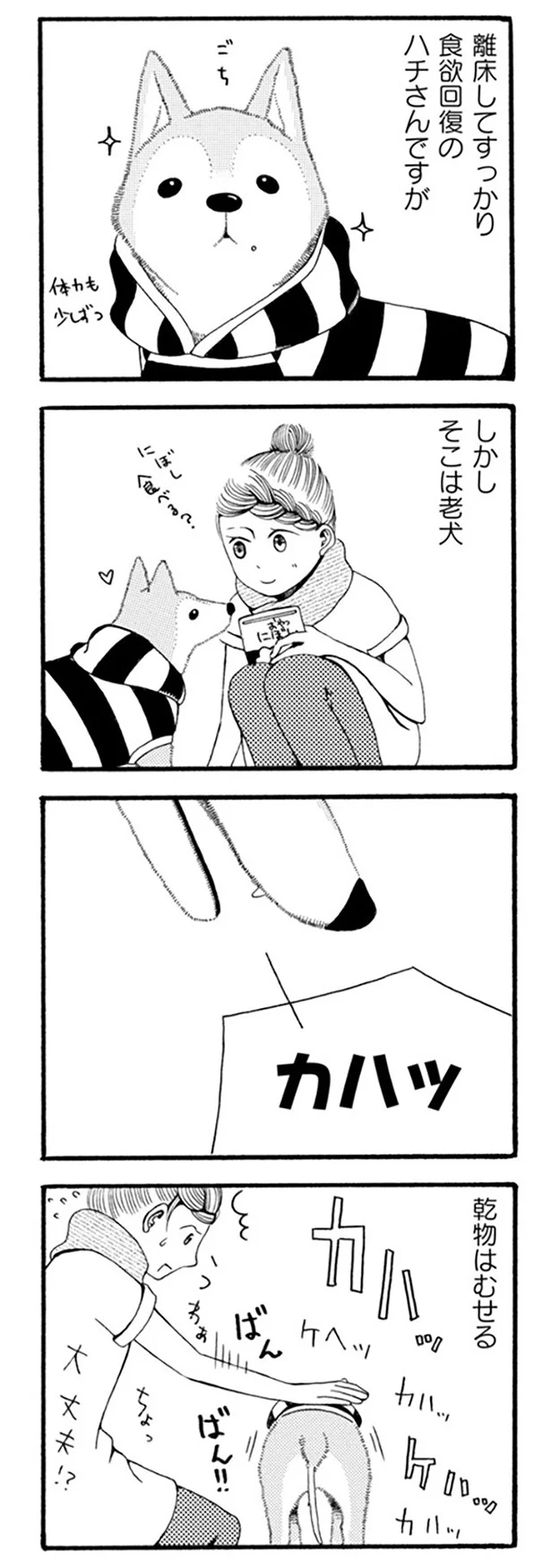 しかしそこは老犬
