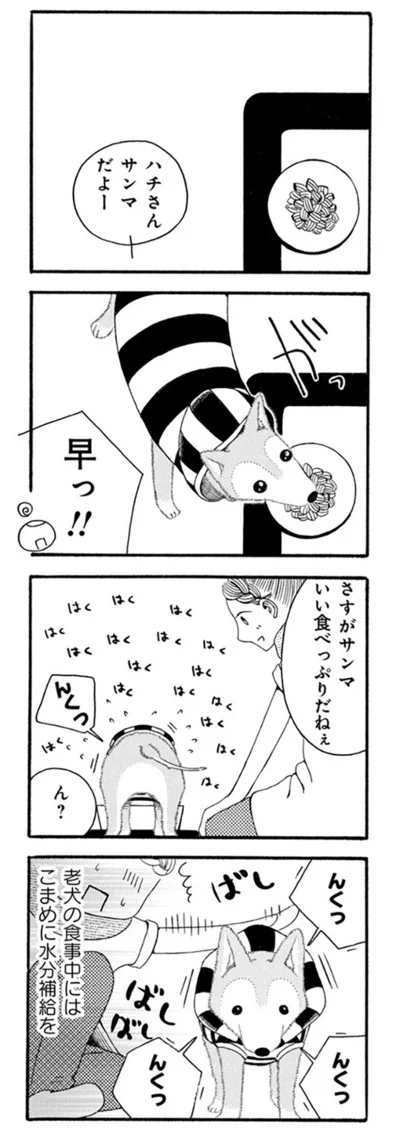 いい食べっぷりだねぇ