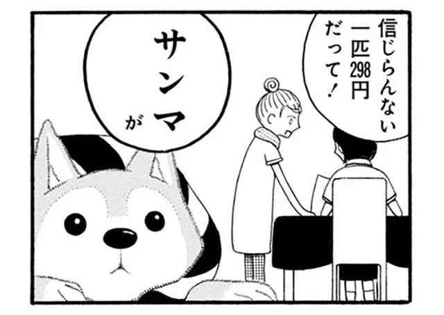 「サンマ」にだけは超ビンカンな柴犬。18歳になっても食べ物の好みは変わらない！／96歳の柴犬ハチさんは、今日もお散歩しています。（10）