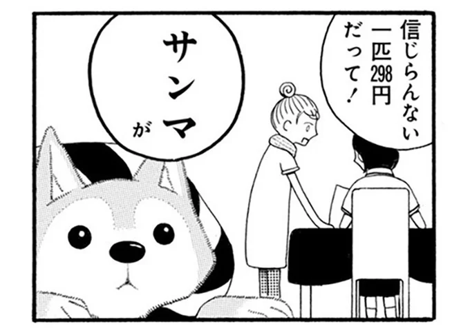 「サンマ」にだけは超ビンカンな柴犬。18歳になっても食べ物の好みは変わらない