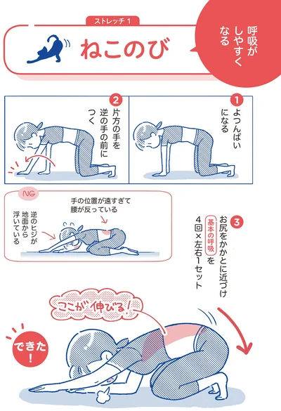 呼吸がしやすくなる「ねこのび」