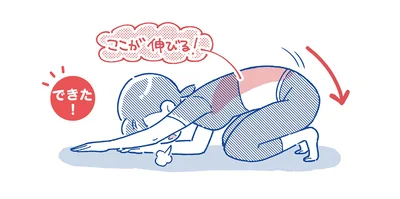ねこのびのポイント！