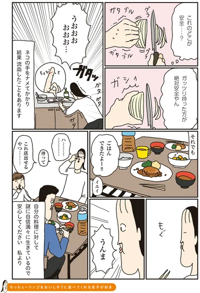 『洗濯物がウラ返しでも正直誰も死なない　アバウトくらいがちょうどいい！#雑なくらし はじめました』より