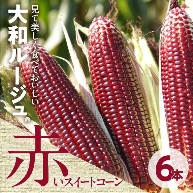 「赤いスイートコーン 大和ルージュ 6本」(4300円)