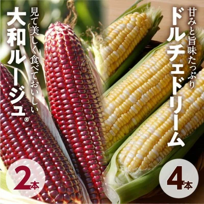 「ドルチェドリーム＆大和ルージュセット 6本」(3600円)