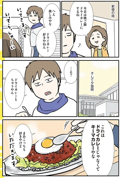 …え？ドライカレーとちゃうやん