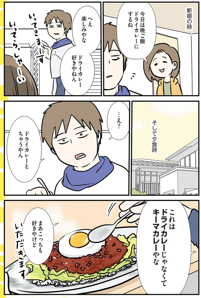 …え？ドライカレーとちゃうやん