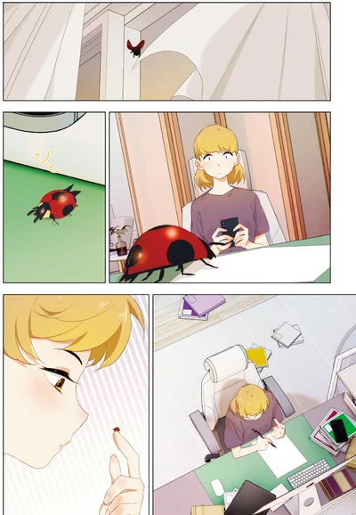 テントウムシ