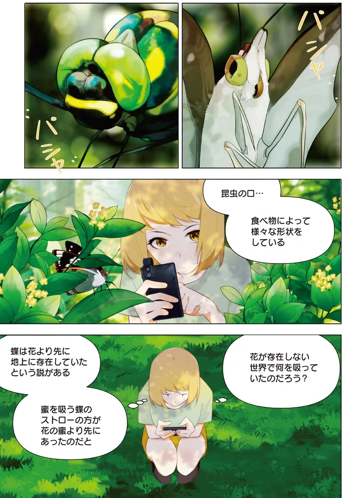 昆虫の口…