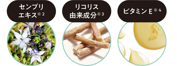 3つの有効成分が、攻めと守りのアプローチで頭皮や毛根をケア
