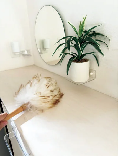 棚上をササッと