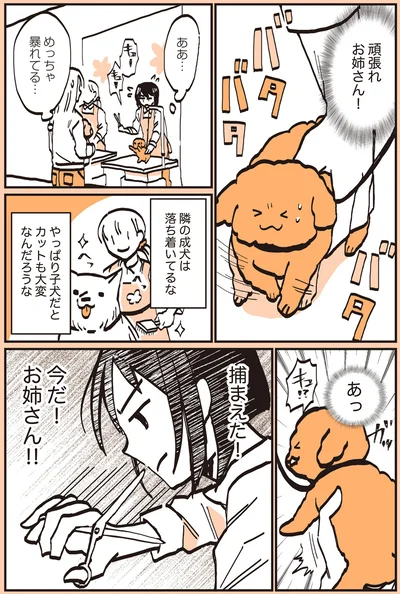 捕まえた！