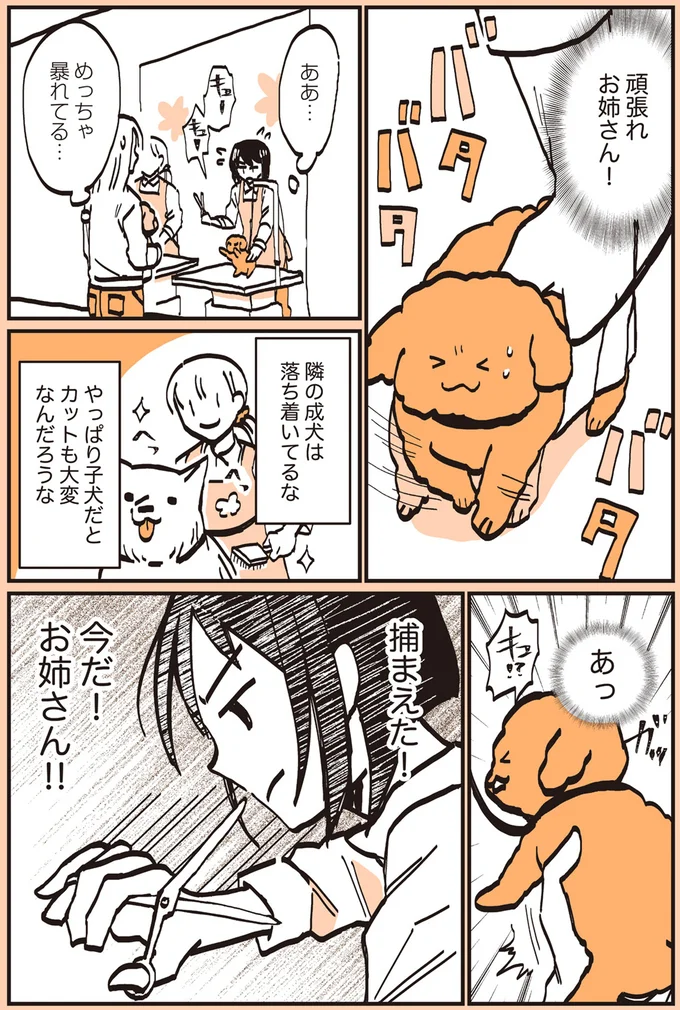 捕まえた！