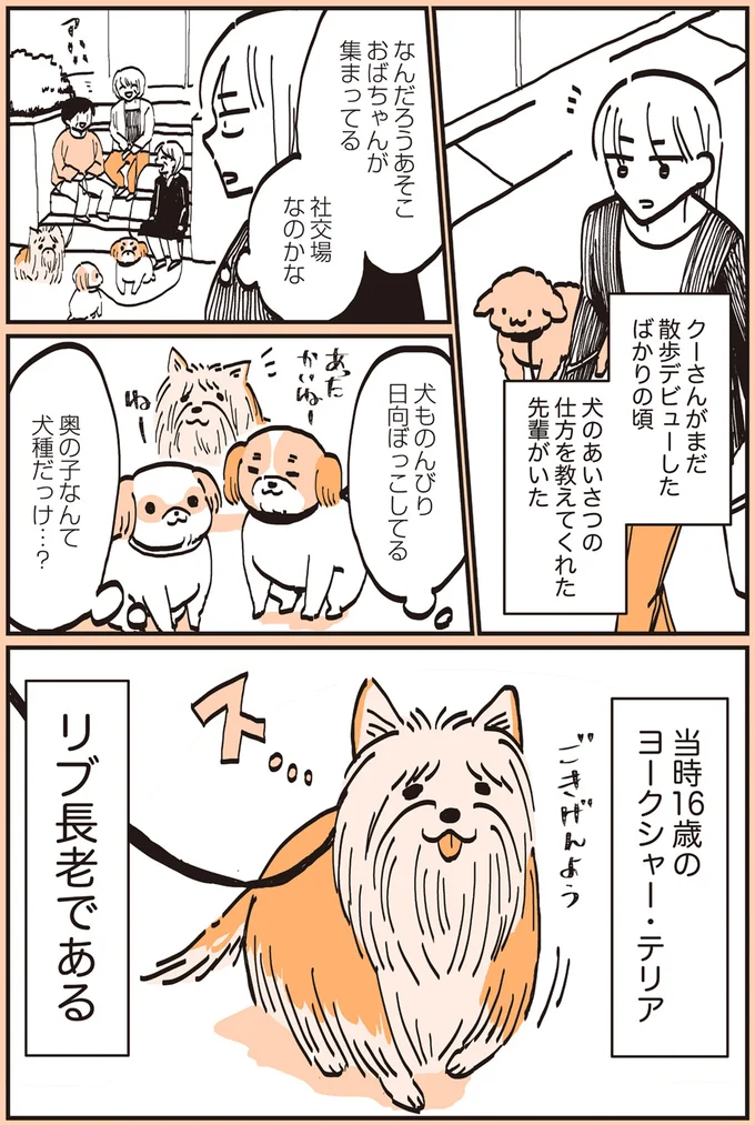 リブ長老