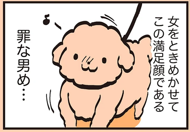 女性をときめかせて満足顔!?散歩中にターゲットを絞るトイプー／うちのトイプーがアイドルすぎる。2（3）