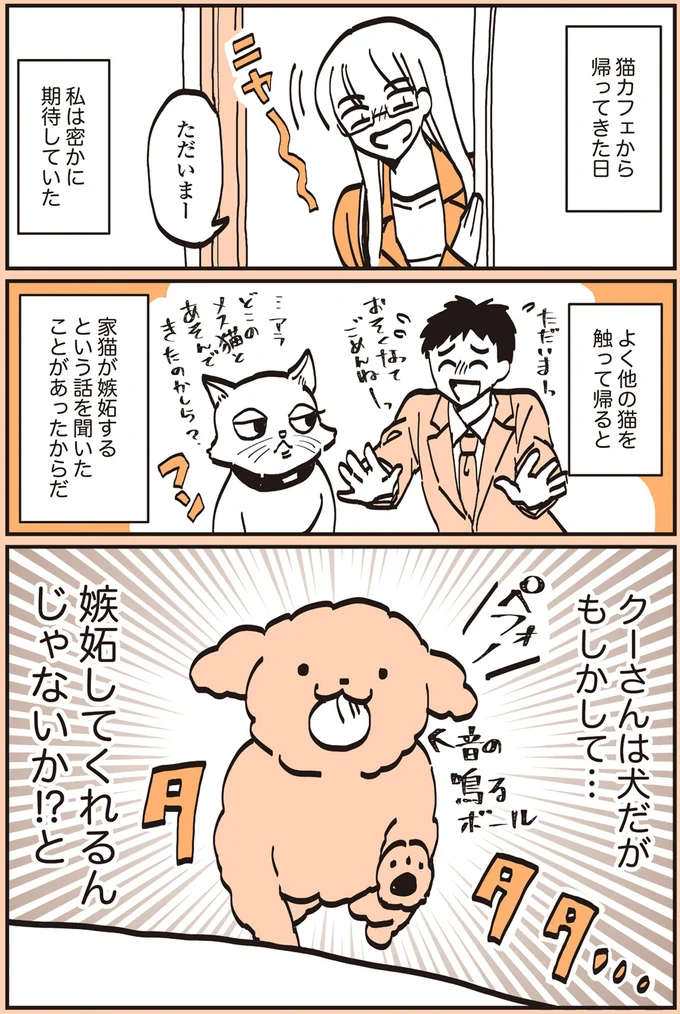 猫カフェから帰ってきた日