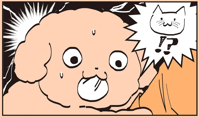 猫!?