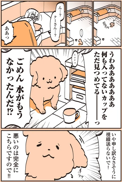 悪いのは完全にこちらですので！！