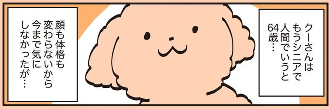 クーさんはもうシニアで人間でいうと64歳…