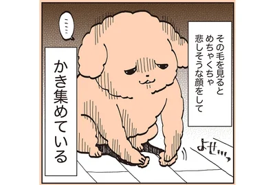 かき集めている