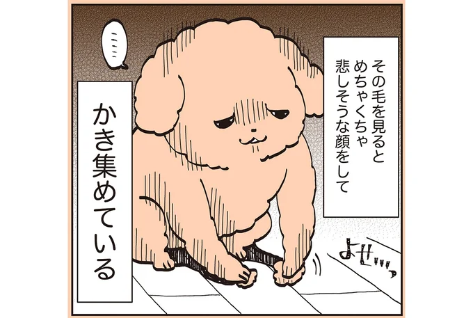 かき集めている