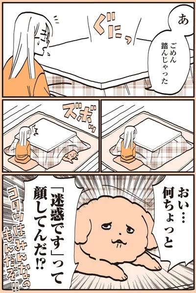コタツはみんなのもんだぞ！！