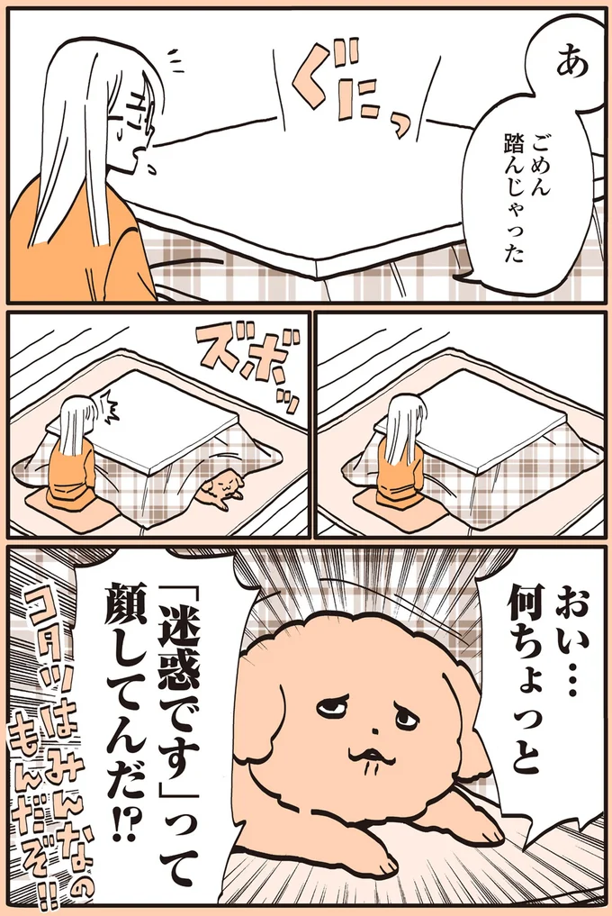 コタツはみんなのもんだぞ！！