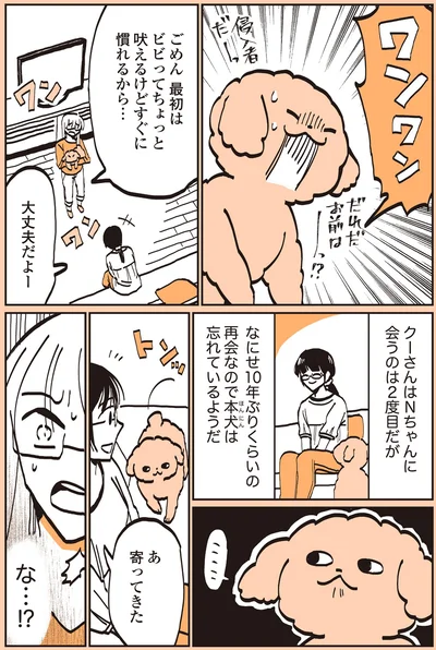 吠えるけどすぐに慣れるから…