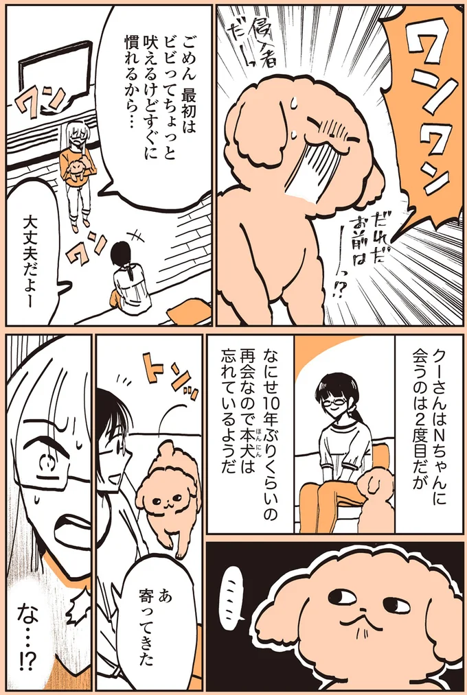 吠えるけどすぐに慣れるから…